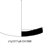 W22d0824 J1q1217-p06 Tx14 kF cv f306.jpg